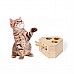 Gioco in legno per animali