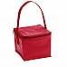 Mini borsa frigo in PVC