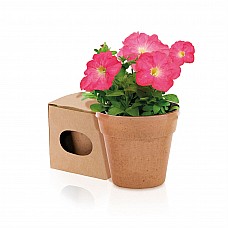 Vasetto con semi di petunia