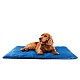 Gadget per Animali personalizzati - Stampa il tuo logo promozionale