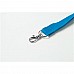 Lanyard
