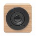 Speaker Bluetooth con aplificatore interno