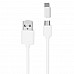 Powerbank wireless con ventose