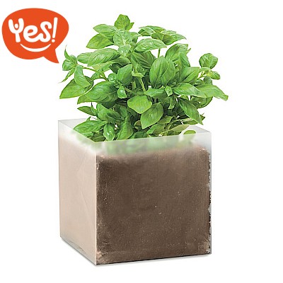 Sacchetto con semi di basilico Sacchetto con semi di basilico