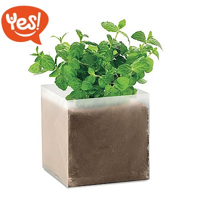 Sacchetto con semi di menta Sacchetto con semi di menta