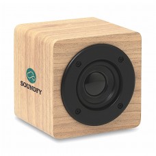 Speaker Bluetooth con aplificatore interno