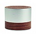 Altoparlante wireless ricaricabile