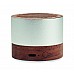 Altoparlante wireless ricaricabile