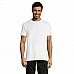 T-shirt unisex tubolare in cotone
