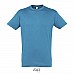 T-shirt classica unisex