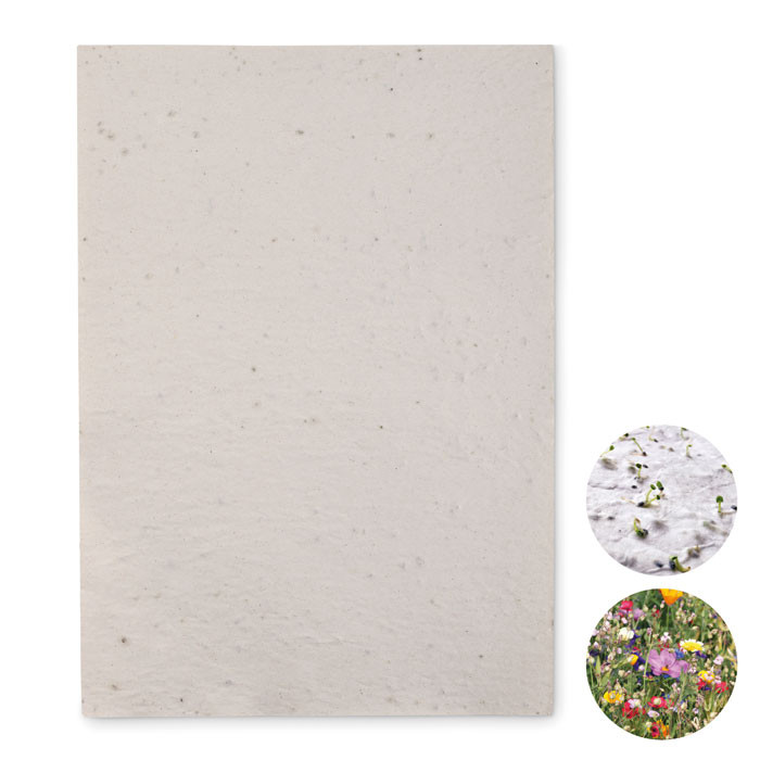 5 Fogli Di Lettura Guidata A4 In PVC Blu Trasparente, Filtro Per Ridurre Stress Visivo E Migliorare Concentrazione